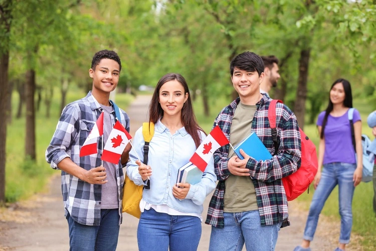 Study in Canada for international students An in-depth guide